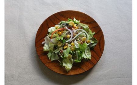 漆 仁取皿 (ニトリ皿) ケヤキΦ21cm　【グッドデザイン賞受賞 木 雑貨 食器 プレゼント 送料無料 日本製 神奈川県小田原市】