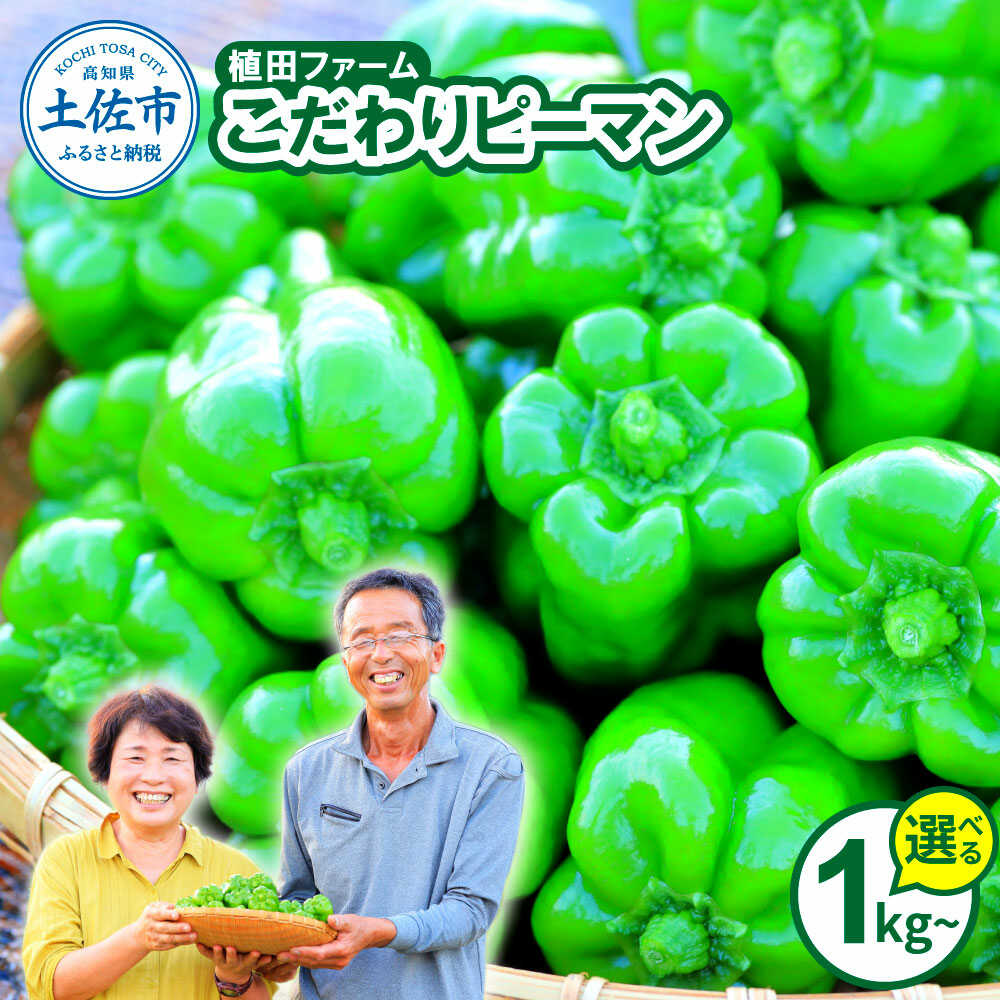 【ふるさと納税】【先行予約】高知県産 植田ファームのこだわりピーマン 1〜3kg〈2026年10月1日〜2027年6月下旬〉 ピーマン 甘い 新鮮野菜 サラダ 野菜 おかず 詰め合わせ 絶品 お取り寄せ 美味しい 料理 おうちごはん 新鮮【株式会社　植田ファーム】[BQAT001]