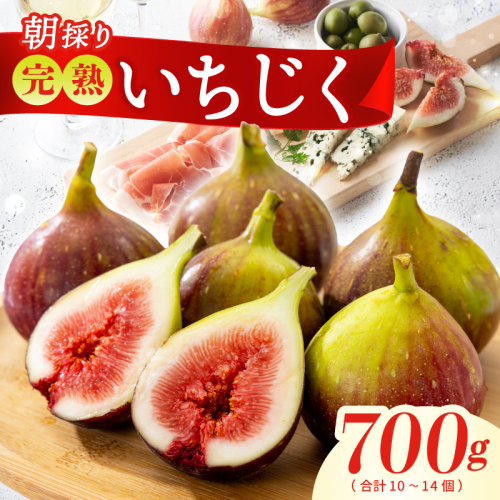 【農家直送】完熟いちじく 700g以上（2パック）【朝採り 訳あり サイズ不揃い わけあり 産地直送 イチジク フルーツ 果物 先行予約】 099H4538