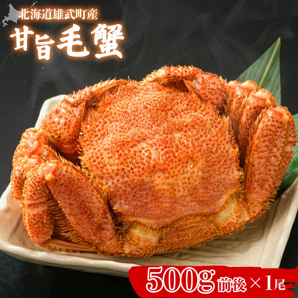 【ふるさと納税】【北海道雄武町産】やわらか殻の甘旨毛蟹 500g前後1尾 | 毛ガニ カニ かに 蟹 殻付き 浜茹で ジューシー 海産物 海鮮 冷蔵 鮮度直送 柔らかい 食べやすい 蟹料理 ギフト おすすめ 贈答用 鮮魚 食材 海の幸 お取り寄せ 北海道 雄武町 雄武【07182】