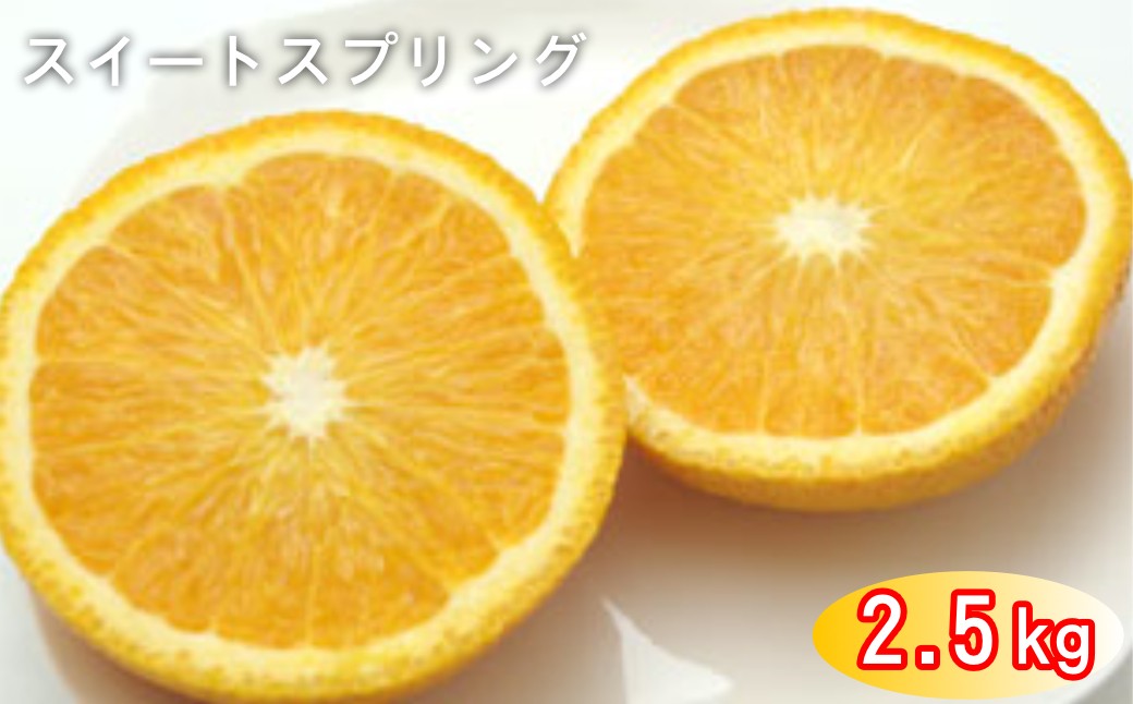 
                  太良町 山本農園の「スイートスプリング」 2.5kg
                