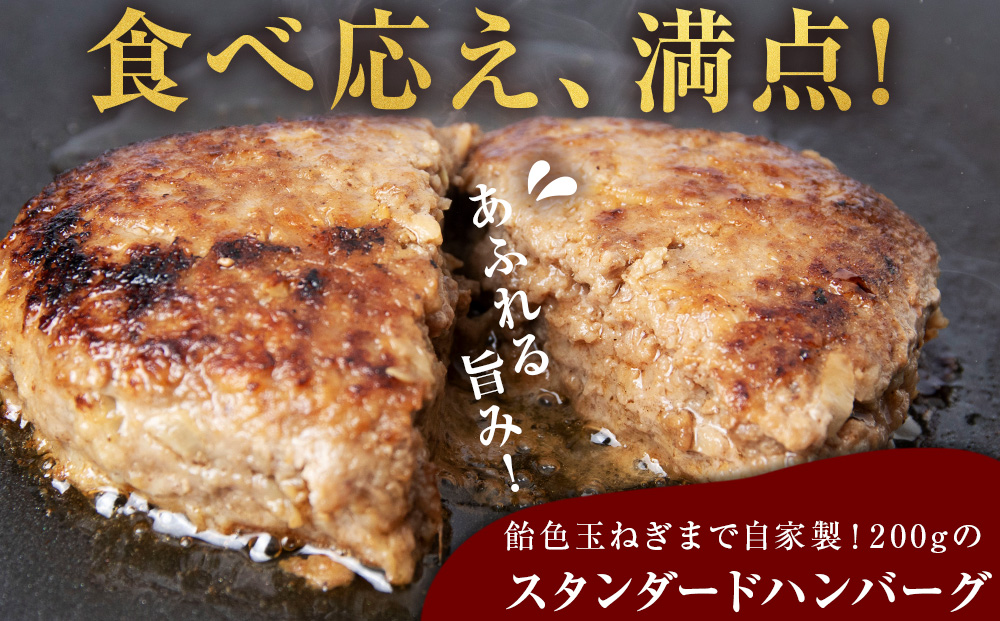 白老牛 2種 食べ比べ ハンバーグ セット 合計20個 Wチーズ・スタンダード 特製ソース 冷凍 牛肉 肉 白老 BY125