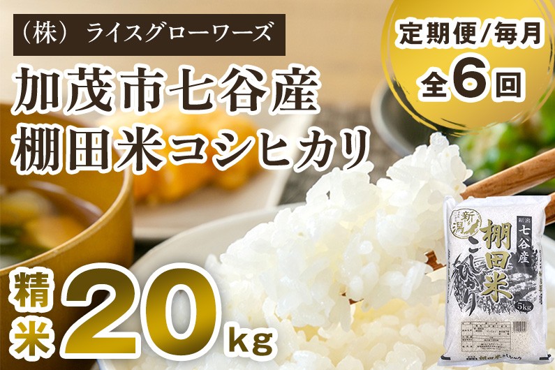 
                  【令和8年産新米先行予約】【定期便6ヶ月毎月お届け】七谷産 棚田米 コシヒカリ 精米 20kg（5kg×4）《10月上旬～順次出荷》 白米 （株）ライスグローワーズ 新潟県 加茂市産 白米 米 お米 定期便
                