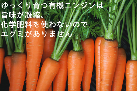 有機ニンジン　農薬不使用　有機JAS認証　冬季限定（12月、1月、2月発送）旬野菜 2133 オーガニック　無農薬　化学肥料不使用　甘みが多く苦味が少ない　人参ジュースにしてごくごく飲めちゃう　にんじ
