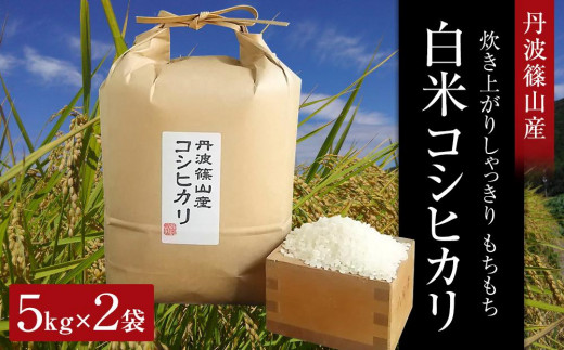 【令和5年産】丹波篠山産　コシヒカリ　白米5kgx2