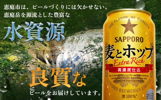 【！9/28で受付終了！】【北海道恵庭工場製造】麦とホップ 500ml×24本