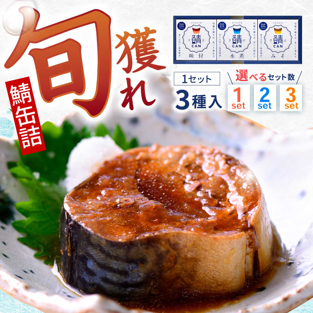 【ふるさと納税】旬獲れ 鯖缶詰 3ケ詰め合わせ(味付・味噌・水煮) セット｜サバ缶 キャンプ アウトドア おつまみ 保存食 常温 プレゼント 贈り物 [Y-001003] [BFAA054][BFAA055][BFAA056]