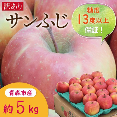 糖度13度以上サンふじ約5kg訳あり家庭用【配送不可地域：離島・沖縄県】【1391452】