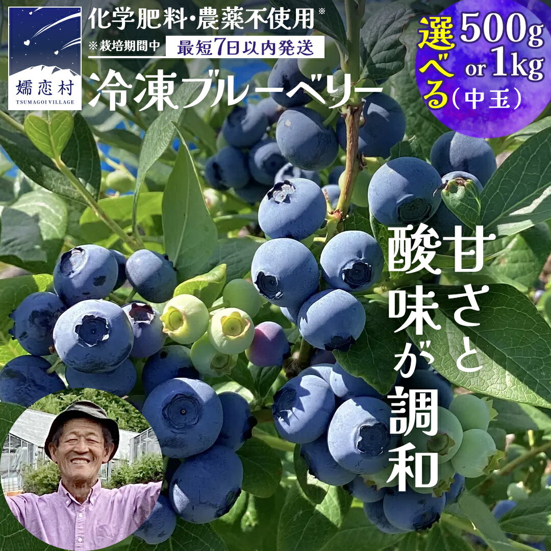 【ふるさと納税】 【 最短 7日以内 発送 】 冷凍 ブルーベリー 中玉 1kg or 500g 選べる内容量 【 栽培期間中 化学肥料 農薬 不使用 】 数量限定 中粒 国産 フルーツ スムージー 果物 くだもの 農家直送 スイーツ アイス ノーザンハイブッシュ系 ミックス
