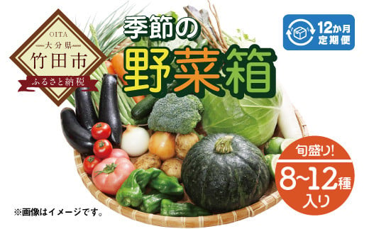 
竹田市産！季節の『野菜箱』12ヶ月 定期便 【1箱あたり:8~12種】
