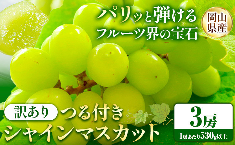 
            242.【先行予約】 岡山県産 訳あり つる付き シャインマスカット 3房 (530g以上)【配送不可地域あり】 《9月上旬-11月上旬頃に出荷予定(土日祝除く)》 岡山県 矢掛町 マスカット ぶどう 葡萄 果物
          