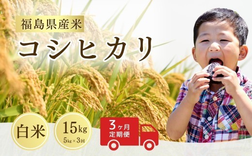 【先行予約】【定期便】令和8年産 コシヒカリ 白米 15kg (5kg×3回) | コシヒカリ こしひかり 米5kg 福島 福島県産 福島産 精米 お米 米 コメ 武田ファーム サムランド 福島県 南相馬市