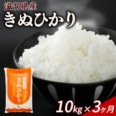 ふるさと納税 彦根市 【毎月定期便】きぬひかり 10kg 【滋賀でとれたお米、近江米!】全3回