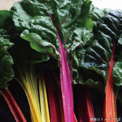 ふるさと納税 糸島市 【全12回定期便 】【福岡県糸島産】朝採れサラダ用野菜セット[AGE011] |  | 03