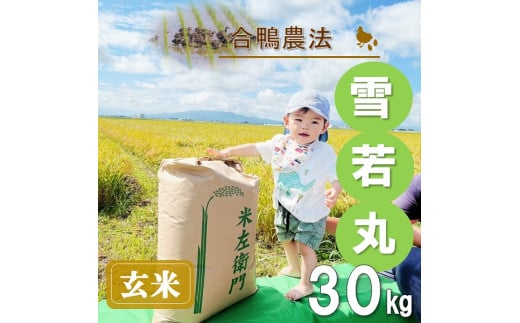 【令和7年産・玄米】ecofarmすがわらの合鴨農法雪若丸30kg※10月下旬頃から順次配送