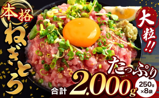 清幸丸水産 大人気！ねぎとろ2000g（250g×8袋）