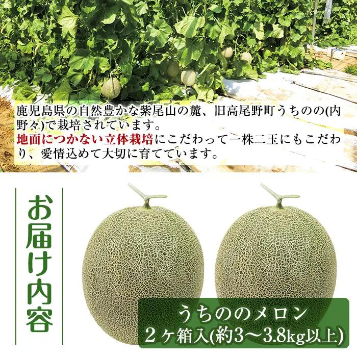 【先行予約】うちのの メロン 2玉 計3～3.8kg 果物 フルーツ ギフト 【山ん神】 i605