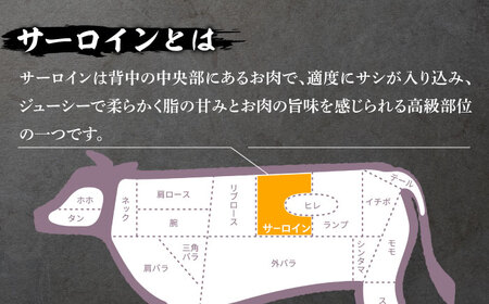 【12回定期便】長崎和牛 サーロインステーキ 2人前（200g×2枚）/ 牛肉 ステーキ 長崎産 サーロイン / 南島原市 / ふるさと企画[SBA034]