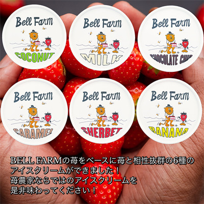 農家直送!苺農家 BellFarm のこだわりイチゴ アイスクリームセット　6個セット【配送不可地域：離島】