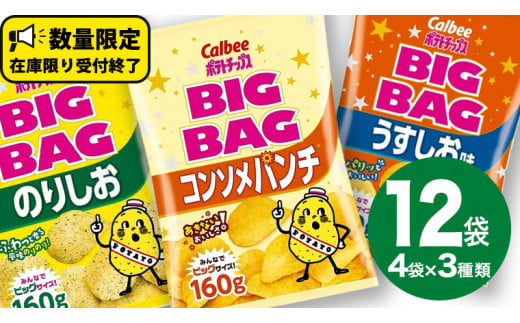 カルビー ポテトチップス BIGBAG 160g 3種 各4袋セット (計 12袋 ) うすしお ・ のりしお ・ コンソメパンチ ポテチ お菓子 おかし 大量 スナック おつまみ ジャガイモ じゃがいも まとめ買い 数量限定