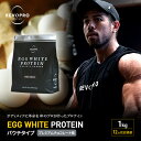 【ふるさと納税】【定期便12ヵ月】REVOPRO EGG WHITE PROTEIN プレミアムチョコレート味 パウチタイプ 1kg プロテイン 乳糖フリー たんぱく質 ボディメイク 体づくり 卵白プロテイン 健康 プロテインパウダー　定期便