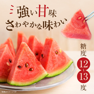 【関東地方までの配送】【令和7年産先行受付】北海道雨竜町産 小玉スイカ 「マダーボール」2玉 赤肉 スムージー スイカ割り 糖度高め 夏 キャンプ ピューレ 海水浴 すいか 西瓜 甘い 果物 フルーツ