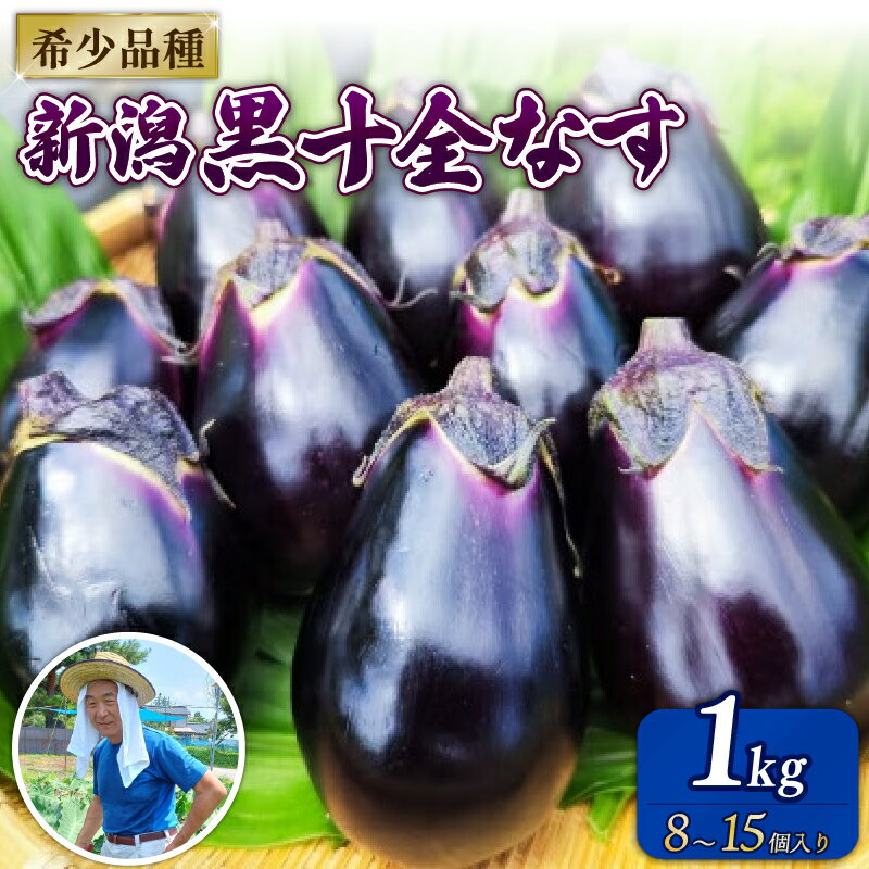 【ふるさと納税】 新潟黒十全なす 新鮮 朝採り 採りたて 1kg 令和7年産 十全なす 黒十全茄子 茄子 新潟の生茄子 ナス 特産品 野菜 夏野菜 つぐちゃん畑 新潟 新潟県 新発田産 新発田市 tsuguchan002