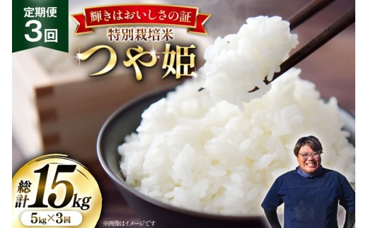 米 定期便 3回 令和7年産 特別栽培米 つや姫 5kg [本田勇仁 山形県 高畠町 tk06bgj910006] お米 白米 精米 ごはん ご飯 ブランド米