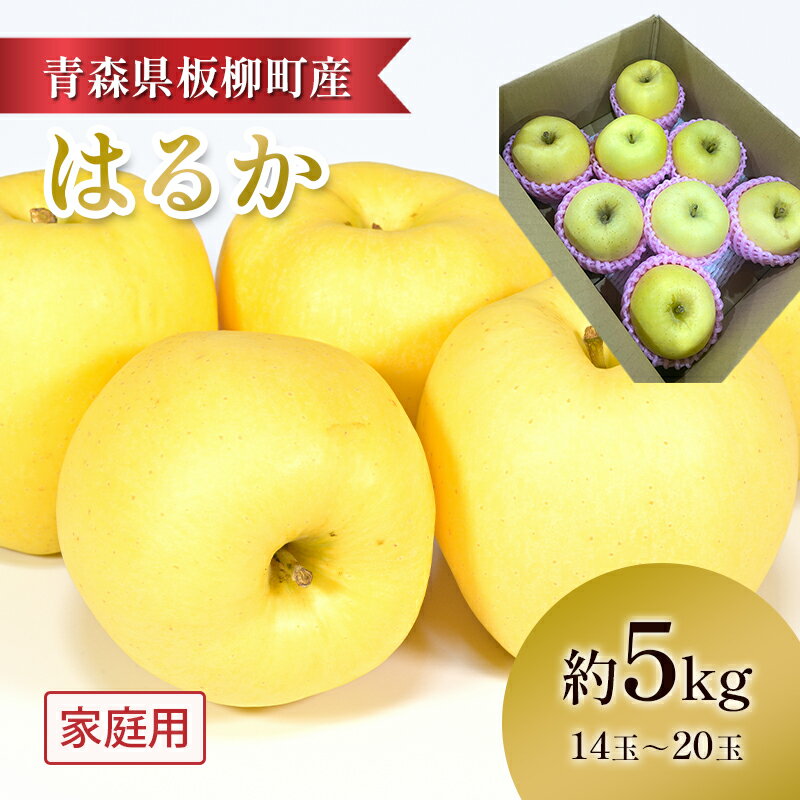 【ふるさと納税】【高級りんご・はるか】家庭用/はるか/約5kg　青森県　りんご　リンゴ　林檎　フルーツ　くだもの　果物　お届け：2025年12月中旬～12月下旬まで
