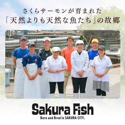 ふるさと納税 さくら市 【国産高級サーモン】【皮なしフィレ冷燻 約1kg】 |  | 03