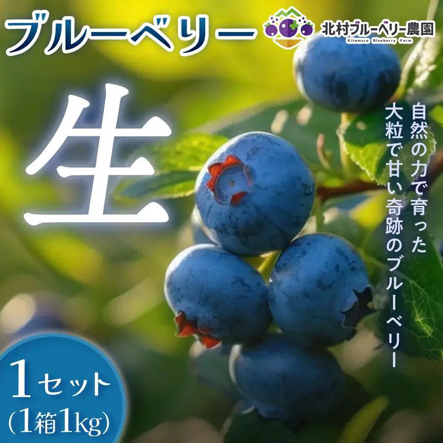 ブルーベリー ( 1kg ) 箱入り 生 無農薬 化学肥料不使用 摘みたて 冷蔵 大粒 濃厚 フルーツ 果物