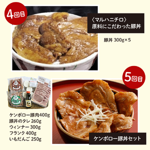 【全５回 定期便】北海道十勝芽室町 豚丼食べ比べ便 me000-015-t5c