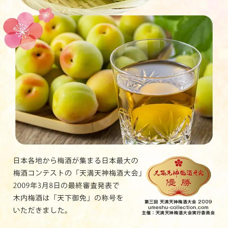 梅酒 木内梅酒 3本セット 500ml×3本 果実酒 ウメ 人気 お土産 ギフト フルーティー 内祝い ご褒美 国産 紀州南高梅使用 お歳暮 お歳暮ギフト プレゼント お中元 敬老の日 うめ酒 梅酒 