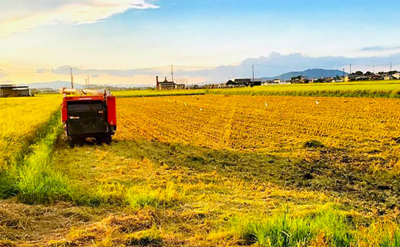 【12月～1月までの限定寄附額】 米 5kg きぬむすめ 田中さんちのおいしいお米 無洗米 CP1201