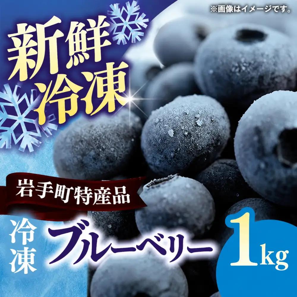 ブルーベリー 冷凍 1kg フルーツ ベリー 果物