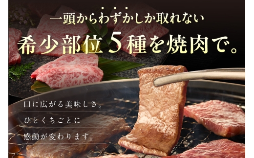 神戸牛 希少部位 5種×80g 計400g セット 冷凍【令和9年3月お届け予定】鮮度保持力が高いスキムパック（密着梱包）神戸牛 神戸ビーフ 但馬牛 和牛 国産 牛肉 みすじ ひうち 三角ばら とうが