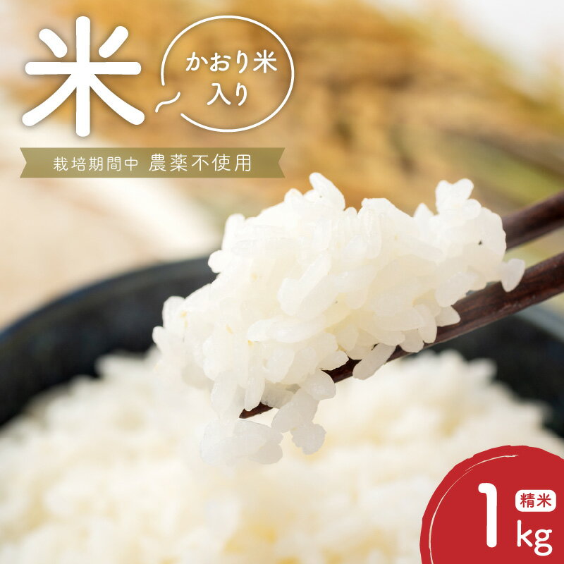 【ふるさと納税】米 1kg 精米 自家生産 栽培期間中 農薬 不使用 白米 もち米 かおり米 ブレンド 風味 食感 自社生産 お米 ご飯 おにぎり おむすび お弁当 弁当 炊き込みご飯 食品 食べ物 瀧本農産 お取り寄せ お取り寄せグルメ 宮崎県 延岡市 送料無料