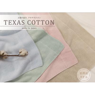 ふるさと納税 泉大津市 TEXSAS　COTTON　100%　タオルケット　シングル　ホワイト　1枚　SNT-20TXWH |  | 01