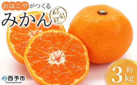 ＜おはこやがつくる 高品質みかん 約3kg（S～Lサイズ）＞ 果物 フルーツ 柑橘 ミカン 蜜柑 特産品 西宇和 愛媛県 西予市【常温】『2026年11月中旬～12月中旬迄に順次出荷予定』MOK0014
