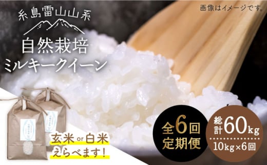 【玄米】【全6回定期便】糸島産 ミルキークイーン 10kg 自然栽培 ≪糸島≫【大石ファーム】 [ATE030-1]