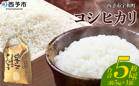 新米＜令和7年産 西予市宇和町産 コシヒカリ 約5kg＞ お米 コメ こめ 白米 精米 単一原料米 ご飯 白飯 ごはん 穀物 コシヒカリ こしひかり 朝食 特産品 愛媛県産 西予市産 宇和町産 三好フク【常温】『1か月以内に順次出荷予定』UMH0016