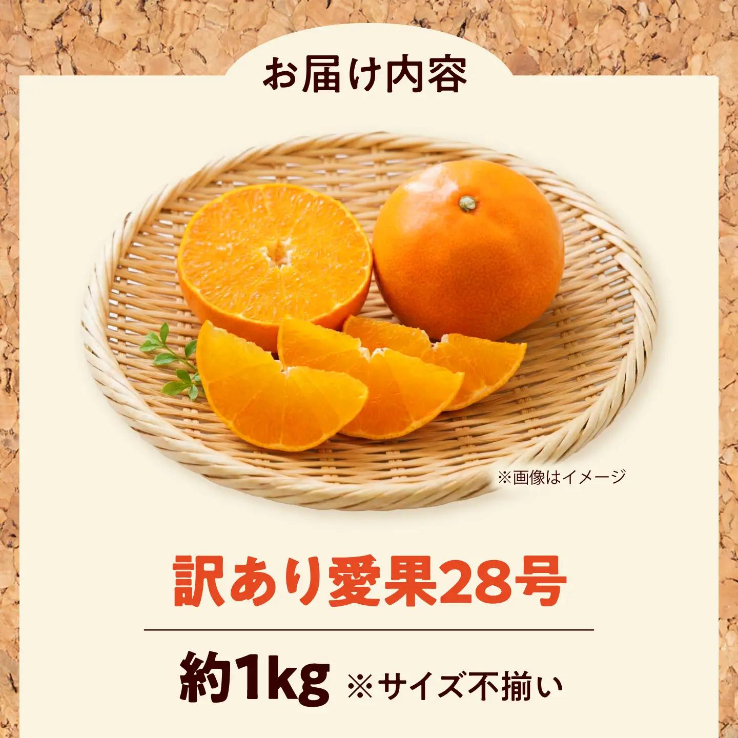 みかん 訳あり 愛果28号 約1kg サイズ不揃い【12月中旬から翌年1月中旬まで順次発送】 / フルーツ 果物 蜜柑 ミカン オレンジ 訳あり 訳アリ 小玉 甘い 先行予約 1kg 愛媛 / 愛媛県