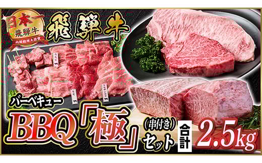 飛騨牛　BBQ「極」セット(串付き)約2.5kg(味つけ用タレ・つけタレ・ローストビーフソース付き)【1534612】