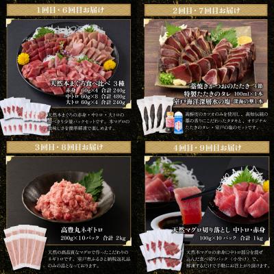 ふるさと納税 室戸市 【贅沢定期便「シン」/全10回】タカシン水産厳選 高知の海鮮セット |  | 02