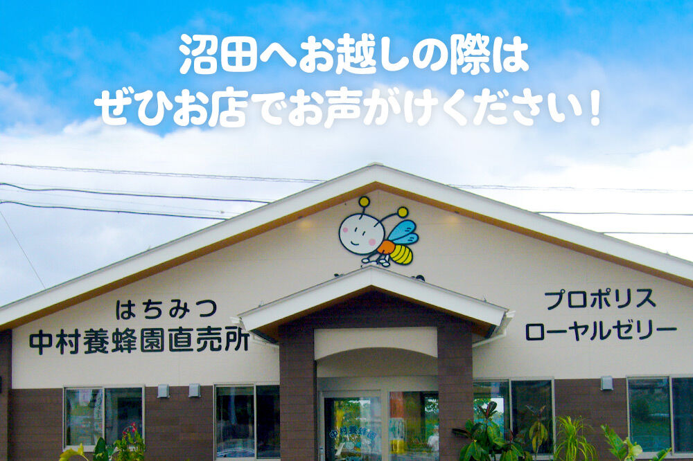 尾瀬のとち蜜＆沼田市産アカシア蜜 詰め合わせ500g×各1本 計1kg 中村養蜂園 [蜂蜜 はちみつ ハチミツ 国産 群馬県産 栃 とち トチ あかしあ アカシア あかしや アカシヤ とんがり トンガリ 容器 保存食 防災食 備蓄]