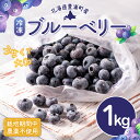 【ふるさと納税】北海道 豊浦町産 冷凍 ブルーベリー 1kg 栽培期間中農薬不使用 【 ふるさと納税 人気 おすすめ ランキング 果物 ブルーベリー 冷凍ブルーベリー 国産 濃厚 大容量 無農薬 おいしい 美味しい あまい 新鮮 北海道 豊浦町 送料無料 】 TYUS019