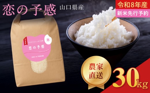 令和8年産  恋の予感 精米 30kg (10kg×3)