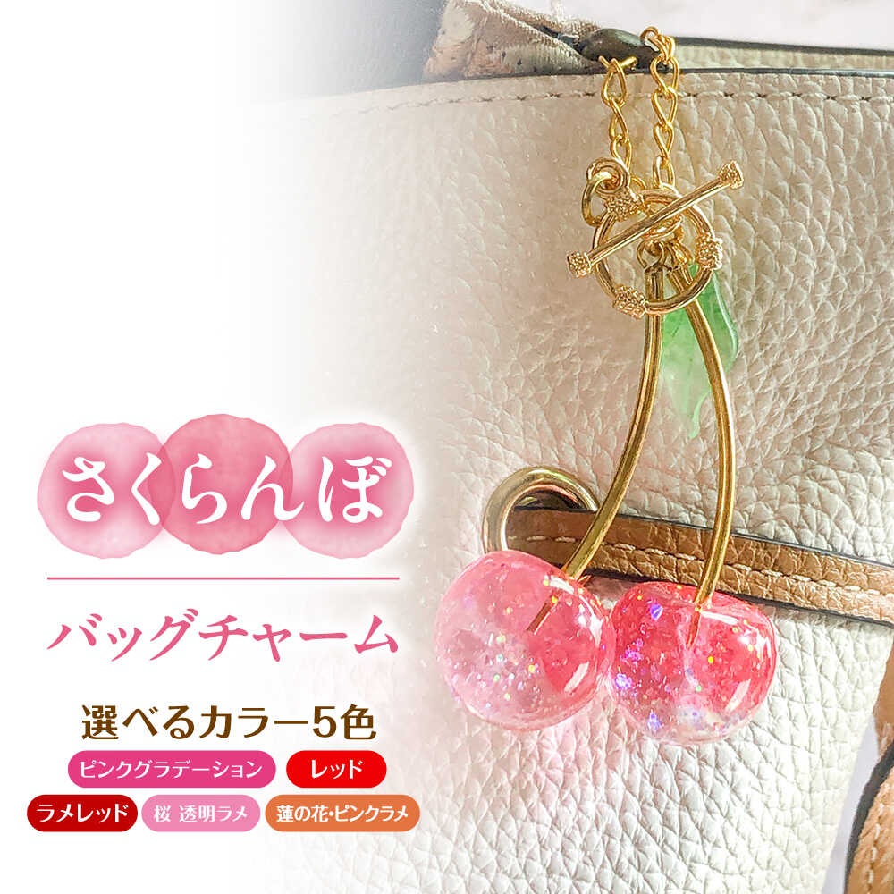 【ふるさと納税】【選べるカラー】さくらんぼ バッグチャーム アクセサリー ハンドメイド レジン 愛西市 / Momo’s 工房[AECR024]
