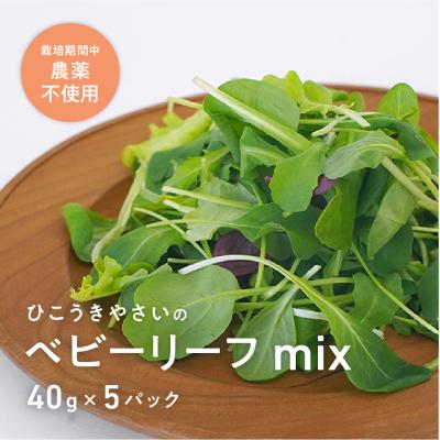 ふるさと納税 各務原市 葉が柔らかくて、味が濃い!!「岐阜県産」ミックスべビーリーフ【40g】×5セット【933】