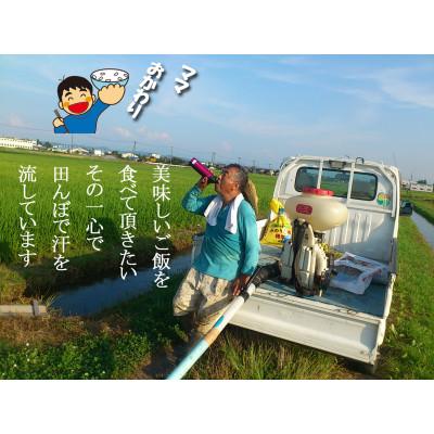 ふるさと納税 燕市 【8年産新米 先行予約】おかずのいらないコシヒカリ「つばめ返し」玄米 30kg |  | 02